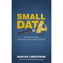 Small Data Lindstrom Martin