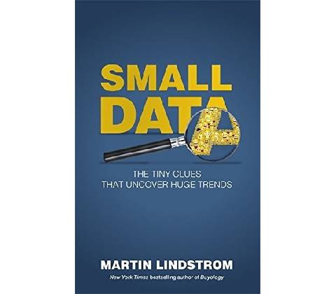 Small Data Lindstrom Martin