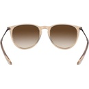 Image 1 of Ray-Ban Erika RB4171 651413