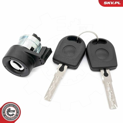 Valcová vložka zámku, spínacia skrinka ESEN SKV 65SKV500