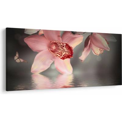 Obraz - Kvety a motýľ, jednodielne 250x125 cm