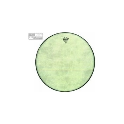 Remo RA-1028-SS
