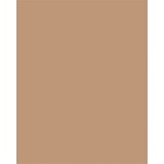 folia Цветна хартия a3, 130 г, 50 листа, folia, светлокафява 6372 (6372)
