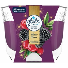 Glade Maxi Winter Berries 204 g