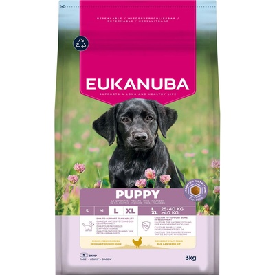 Eukanuba Premium Nutrition Puppy Large & Giant Breed s kuřecím 2 x 3 kg
