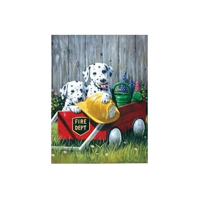 Royal Langnickel malování podle čísel dalmatini ve vozíku 22 x 30 cm karton