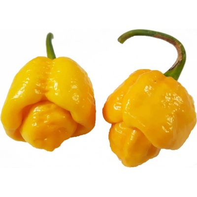 Semínka Piquant Paprička chilli TRINIDAD MORUGA SCORPION YELLOW