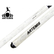 Raymond Ceulemans ARTEMIS MISTER-100 DK-2