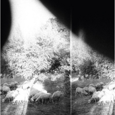 Asunder, Sweet and Other Distress - Godspeed You! Black Emperor CD