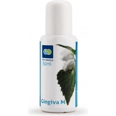 Divine Way Gingiva M bylinná tinktura 50 ml