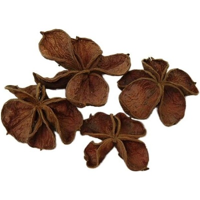 land lotus natur, cena za 20 ks