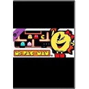 Ms Pac Man