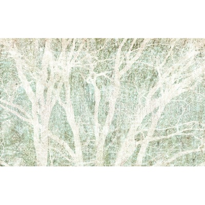Komar Vliesová fototapeta Peaceful Place 400 x 250 cm