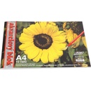 Akvarelový blok A4 čistý 10 listů