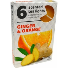 Admit Tea Lights Ginger Orange 6 ks