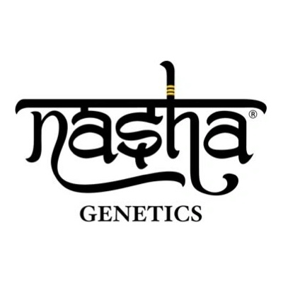Nasha Genetics CREAM LINE Zkittlez x Hardcore OG semienka neobsahujú THC 10 ks