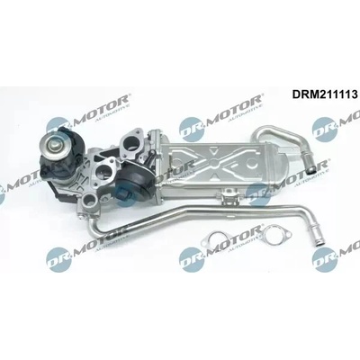 Dr.Motor Automotive AGR ventil DMA DRM211113