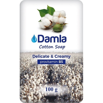 Tuhé zvhlčujúce mydlo DAMLA DC 100 g
