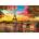 Educa - Puzzle Sunset in Paris - 3 000 piese