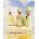 LATTAFA Eclaire Collection 3 x 100 ml