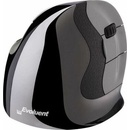 Evoluent VerticalMouse D SMALL VMDSW