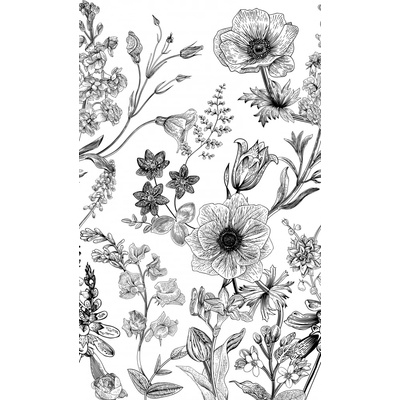 Grandeco ML1601 ML1601 Vliesová fototapeta Černobílé květiny rozměry 1,59 x 2.8 m