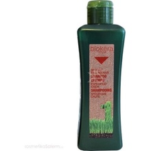 Salerm Biokera Shampoo proti padání vlasů 1000 ml