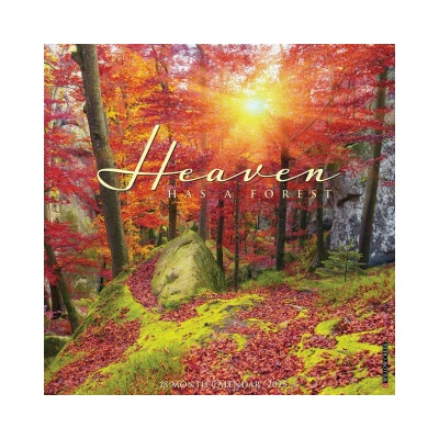 Heaven Has a Forest 12 X 12 Wall 2026
