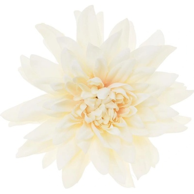 HLAVA DAHLIA 10CM BAL.12KS KRÉM