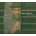 Marcus Miller: Silver Rain CD