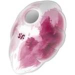 Satisfyer Cloud Dancer Red (P24577)