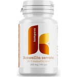 Kompava Boswellia serrata/ Босвелия 300 mg + черен пипер x 90 капсули | Kompava (RE_216736 KOMPAVA)
