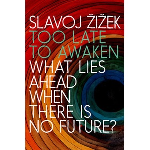 Too Late to Awaken | Zizek, Slavoj (ISBN: 9781644214190)