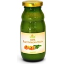 Grešík 100% Rakytníková šťáva 200 ml