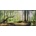 Obraz SHADOW 59x134cm Les