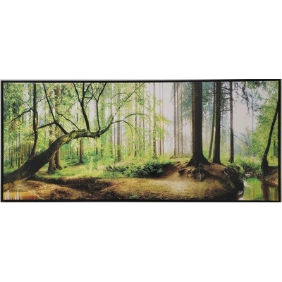 Obraz SHADOW 59x134cm Les