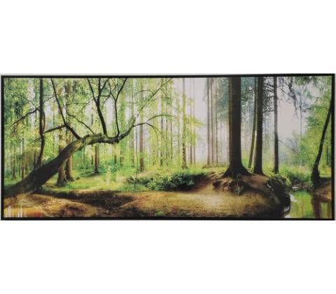 Obraz SHADOW 59x134cm Les