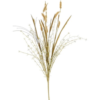 ZELEŇ SETARIA HNEDÁ 60CM