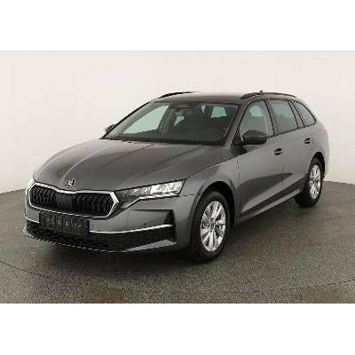 Skoda Octavia Combi TDI DSG Selection 110 kW
