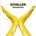 Morgenstund - Schiller CD