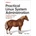 Practical Linux System Administration