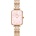 Daniel Wellington DW00100621