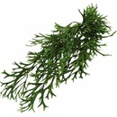 Lucky Reptile Philo 50 cm