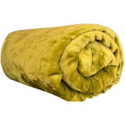 Pragati Fashion mikroflanel hrachová deka 200x220