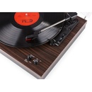Fenton RP165D