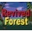 Revived Forest