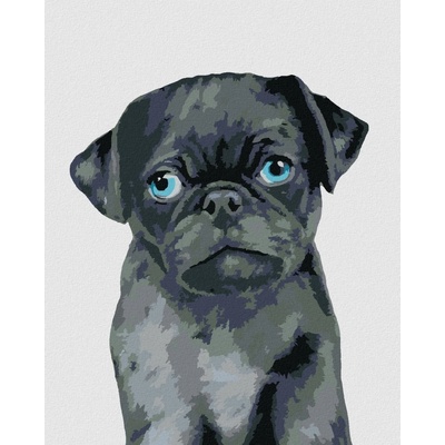 zuty Malování Podle Čísel Mopsík Myroslava Voloschuk 80 x 100 Cm Plátno