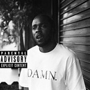 Kendrick Lamar - Damn. : CD