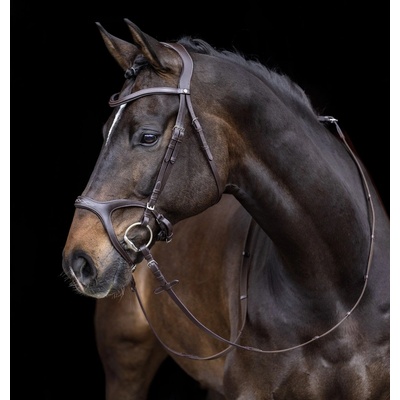 Bridle Anatomic Sports čierna