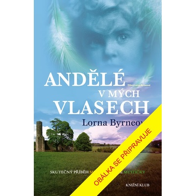 Andělé v mých vlasech Vzpomínky Skut